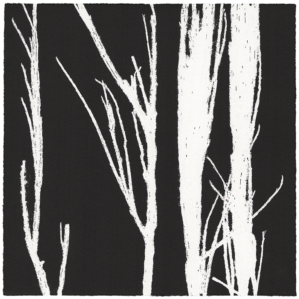 43/60 VIELFALT AM WEGESRAND | Einzelgrafik einer 60-teiligen Arbeit | Unikat | Monoprint von Wildblumen | 20 x 20 cm | 2020