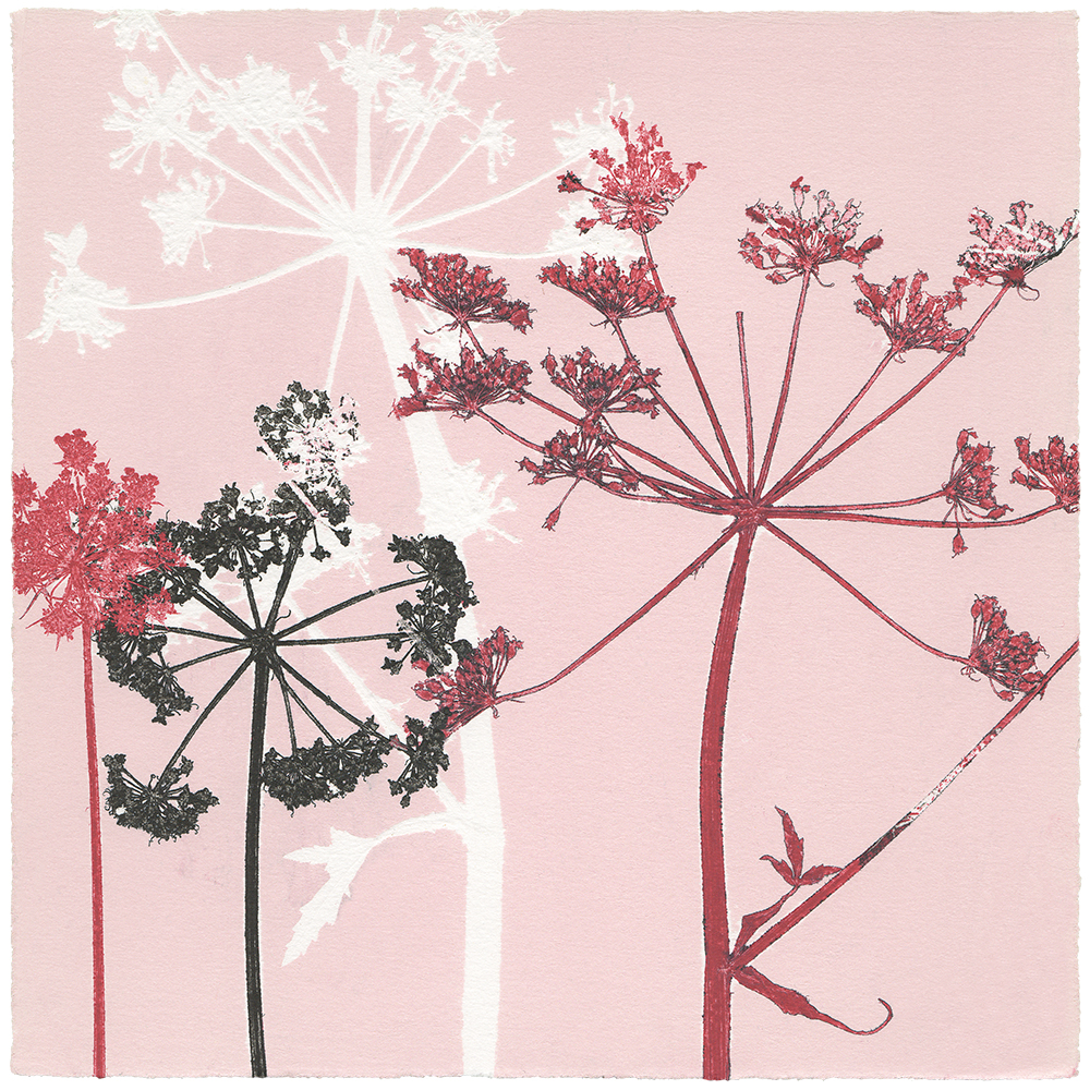 47/60 VIELFALT AM WEGESRAND | Einzelgrafik einer 60-teiligen Arbeit | Unikat | Monoprint von Wildblumen | 20 x 20 cm | 2020
